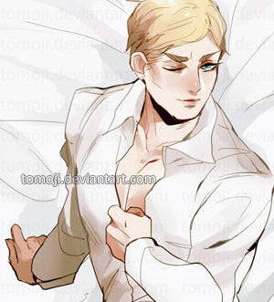 Attack on Titan Erwin Smith Body Pillow